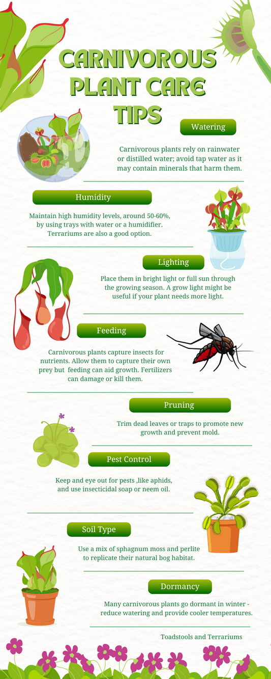 Caring for Carnivorous Plants: A Guide to Fascinating Flora