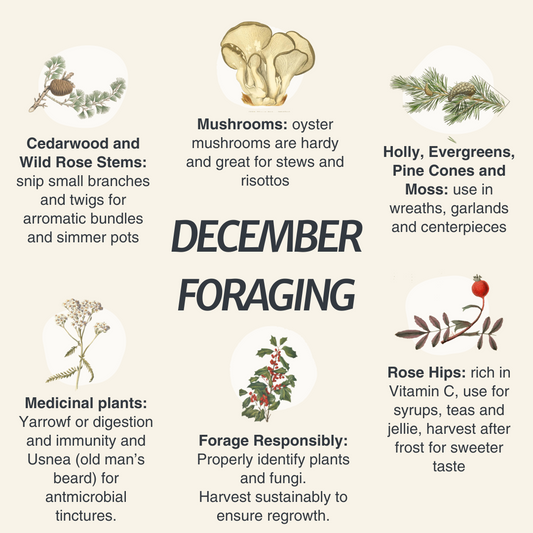 December Foraging in the Pacific Northwest: Edibles and Holiday Decor
