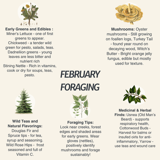 February Foraging Guide for the Pacific Northwest