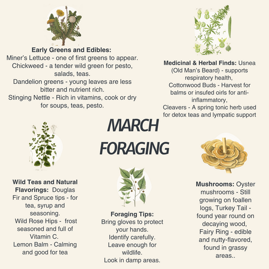 March Foraging in the PNW: Early Greens, Mushrooms & Spring Treasures