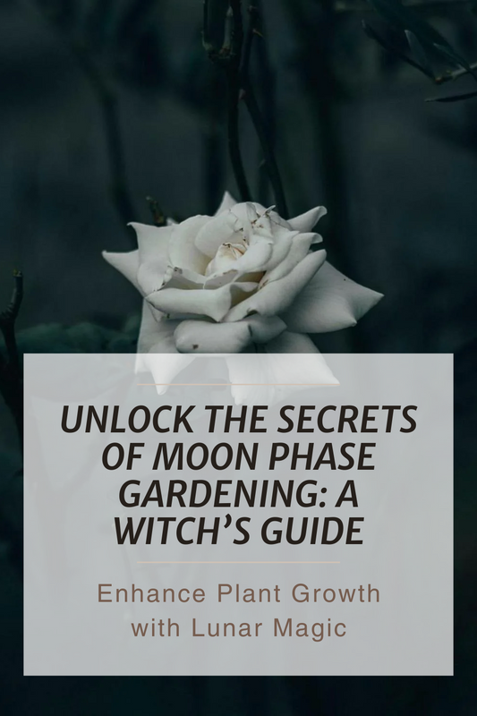 Embrace the Magic of Moon Phase Gardening: A Witch's Guide