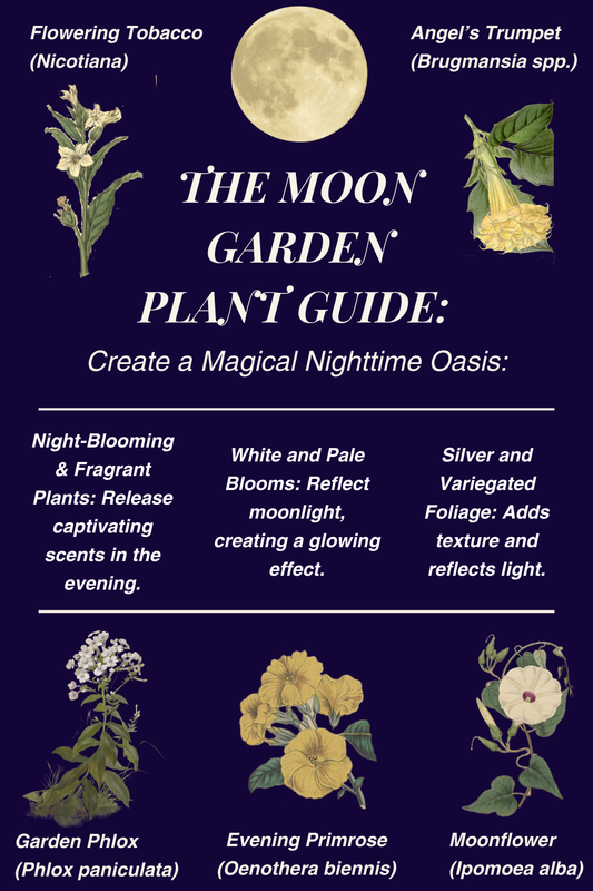 Illuminating Your Nights: A Guide to Creating a Magical Moon Garden