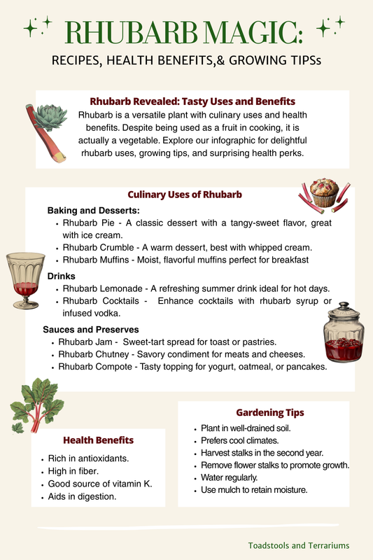 Rhubarb infographic with tips, recipes and antique graphics