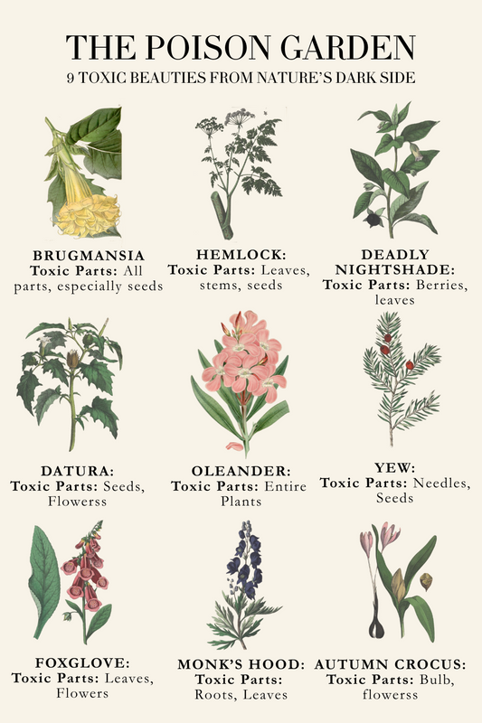 🌿 The Poison Garden: A Deadly Dance of Beauty and Danger