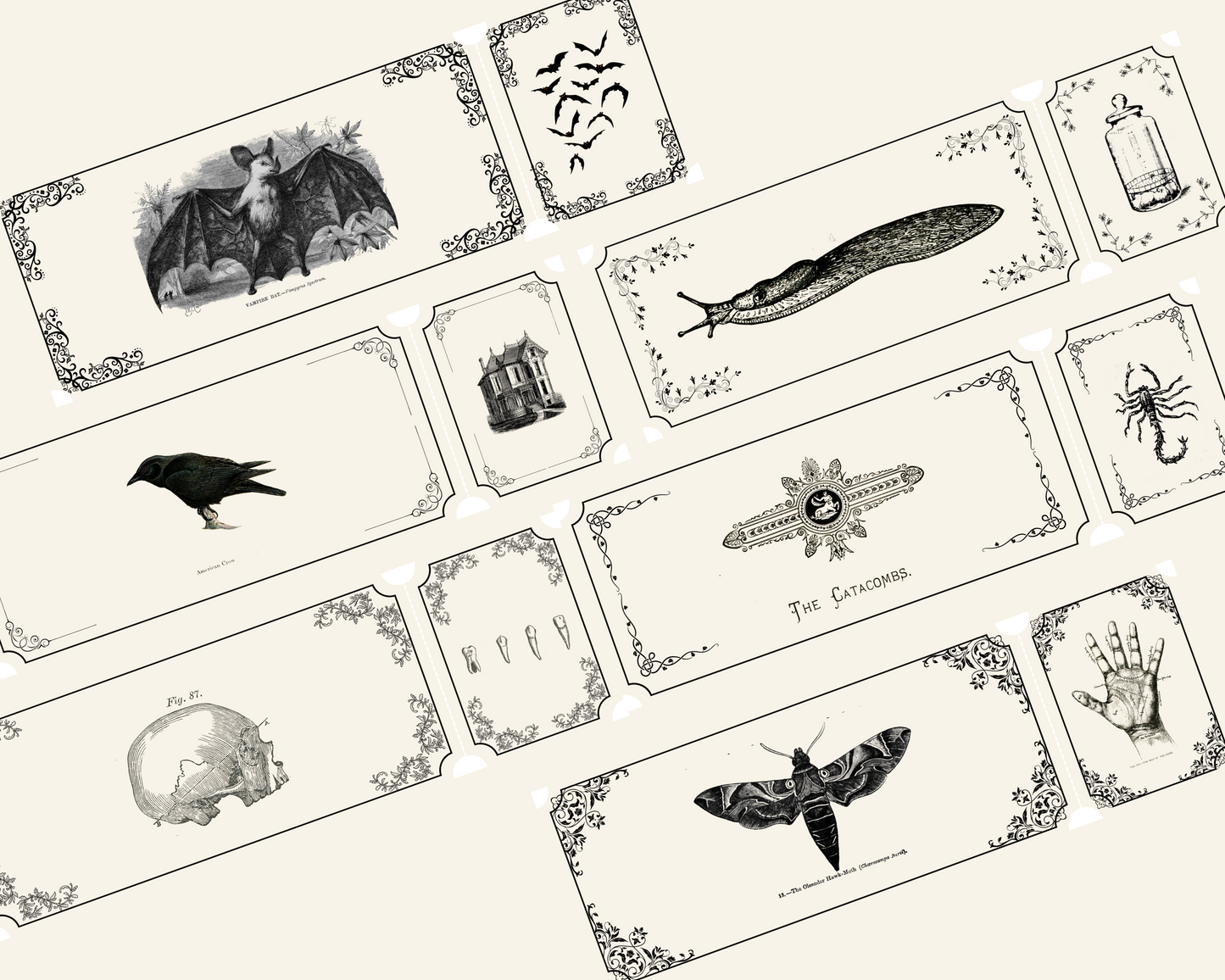 Halloween Party Tickets, Spooky Dark Academia Junk Journal Gothic Ephemera - Set 0f 6 Png