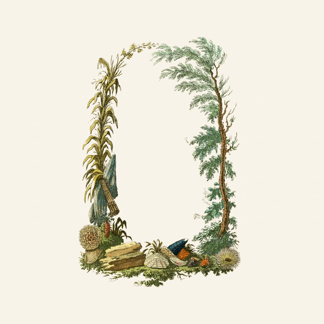 An illustration of a vintage beach scene with botanical elements, including a tree with green leaves and a blue sky background, surrounded by various plants and seashells.