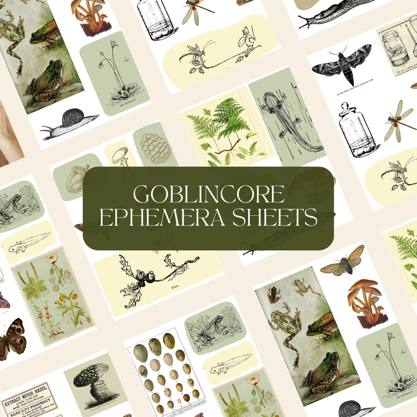 Goblincore Digital Ephemera Collection Antique Nature Illustrations - Digital Collage Sheets