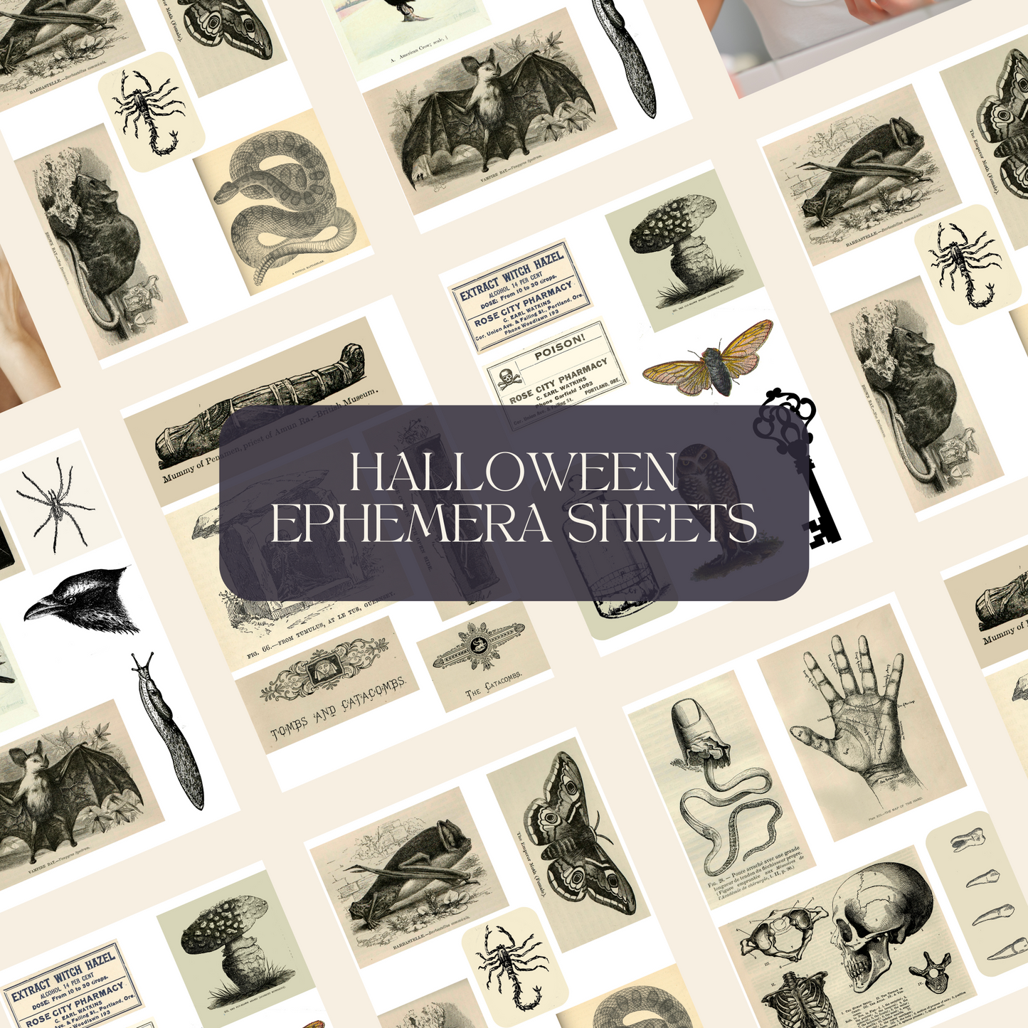 Halloween Digital Ephemera Collection Sheets Antique Illustrations - Digital Collage Sheets