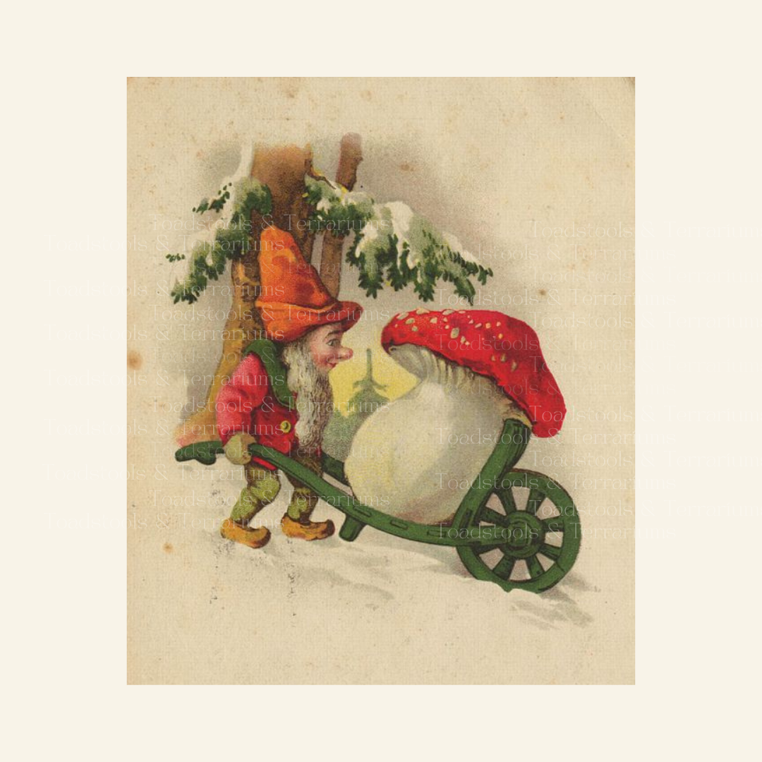 Vintage Gnome with Wheelbarrow & Mushroom | Antique Postcard Illustration | Digital Download PNG & JPG