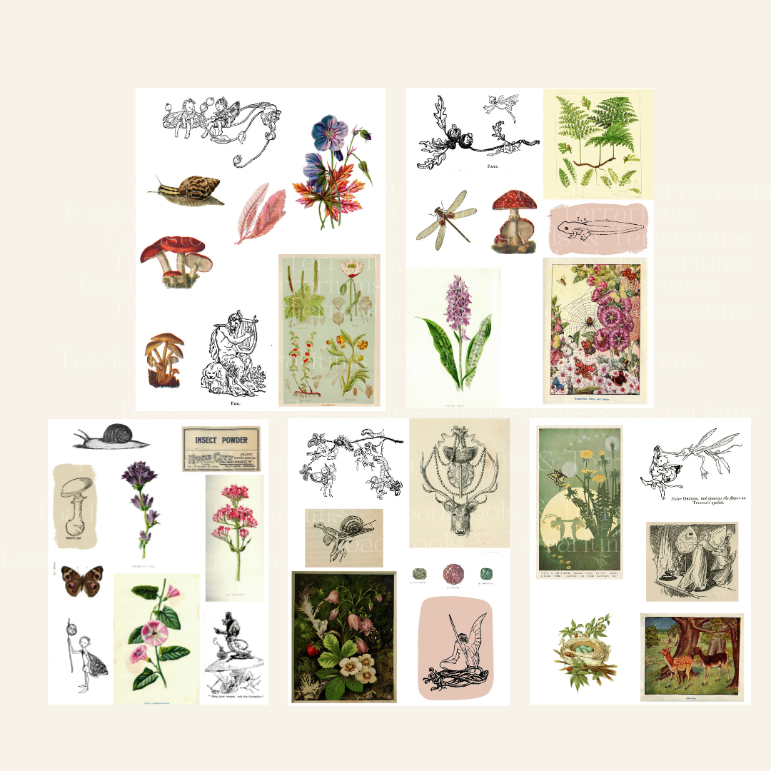 Enchanting Fairycore Digital Ephemera Collection: Antique Book Images for Scrapbooking & Crafts