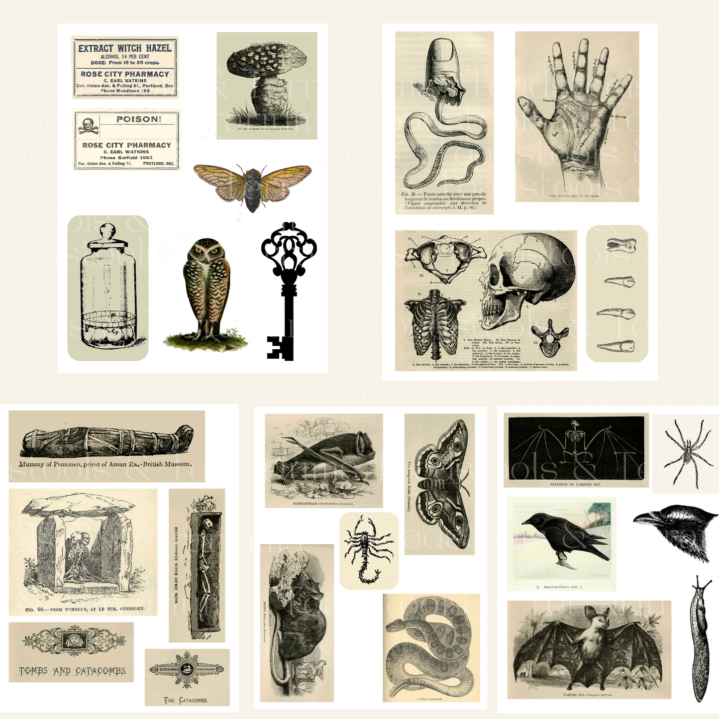 Halloween Digital Ephemera Collection Sheets Antique Illustrations - Digital Collage Sheets