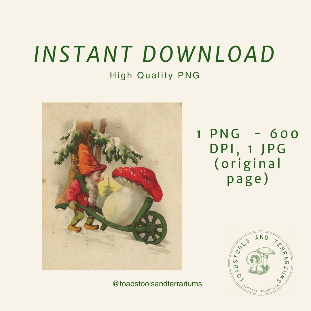 Vintage Gnome with Wheelbarrow & Mushroom | Antique Postcard Illustration | Digital Download PNG & JPG