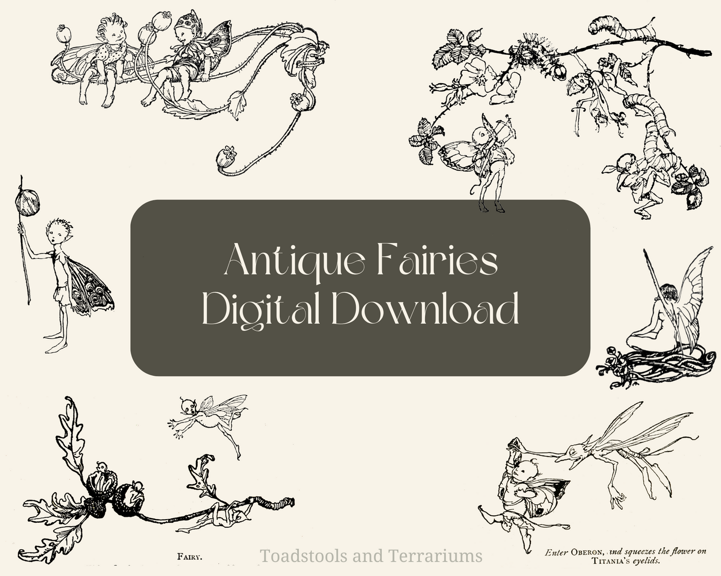 A collection of illustrated fairies in various poses and settings, intended for use in scrapbooking and crafts, labeled as 'Antique Fairies Digital Download'.