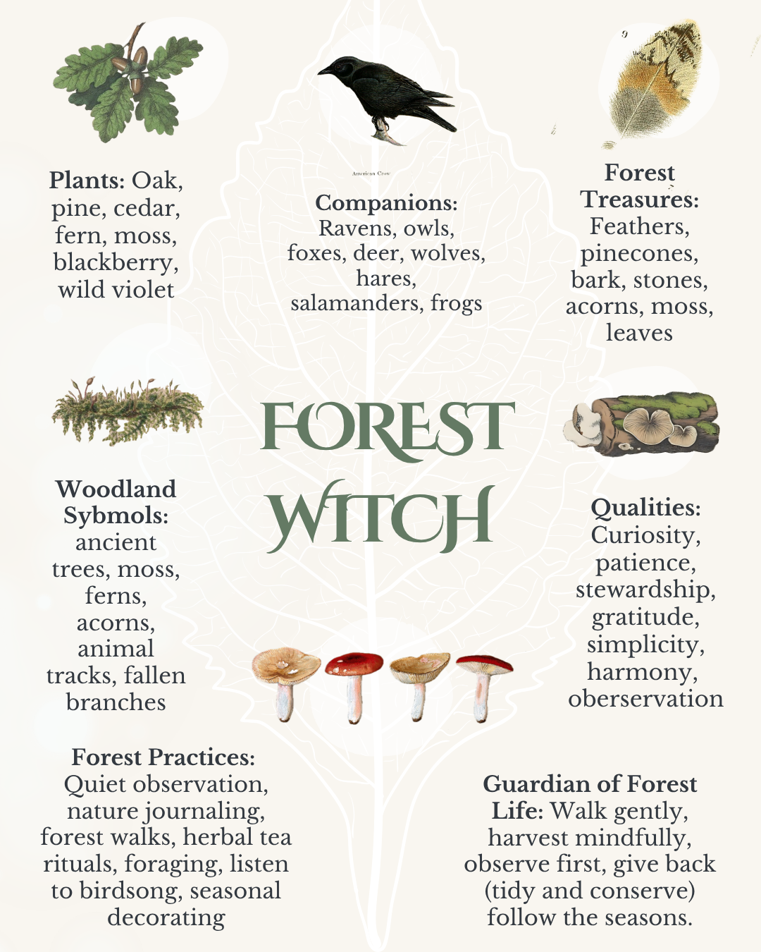 Forest Witch Guide: Woodland Folklore, Plants & Nature Inspiration