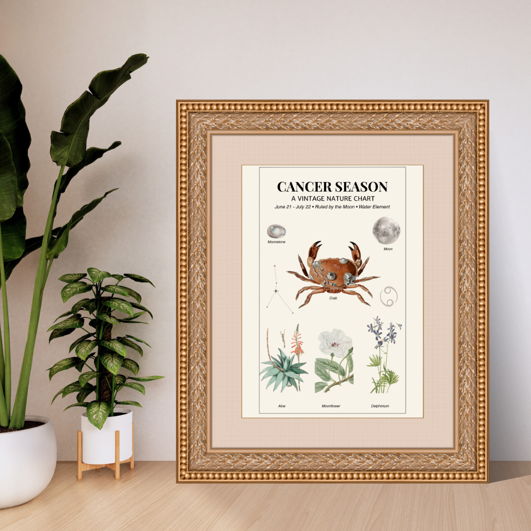 Framed vintage nature chart titled 'Cancer Season' on a wall with plants.