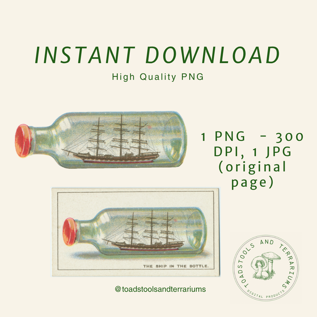 Vintage Ship in a Bottle Illustration – Antique Nautical Clipart (PNG + JPG)