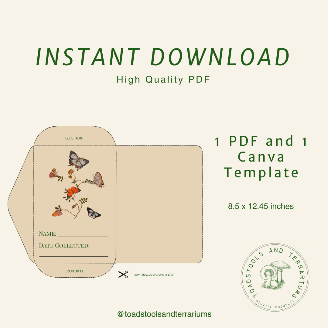 Vintage Seed Packet Template – Canva Editable + Printable PDF | Garden Ephemera | Digital Download