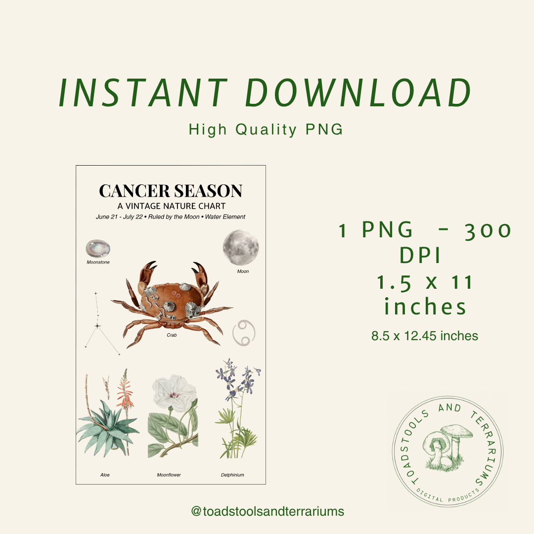 Vintage nature chart for Cancer season with a crab illustration and plants on a light green background.
