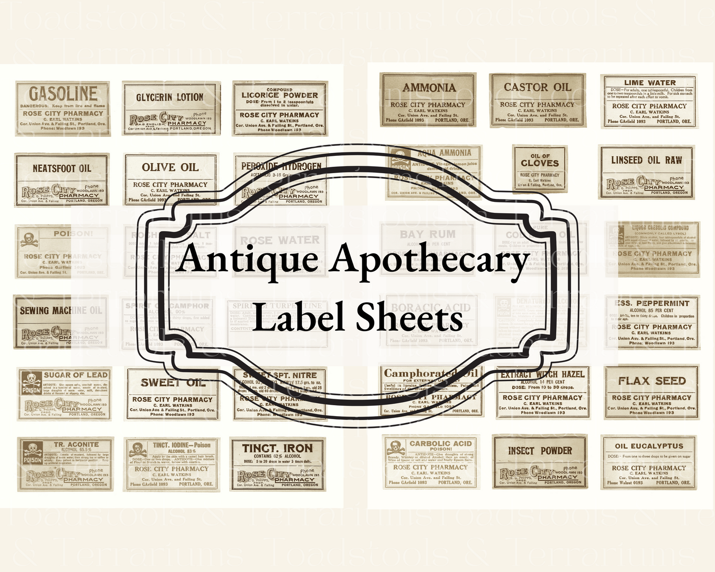 Dark Academia Goblincore Apothecary Ephemera Bundle