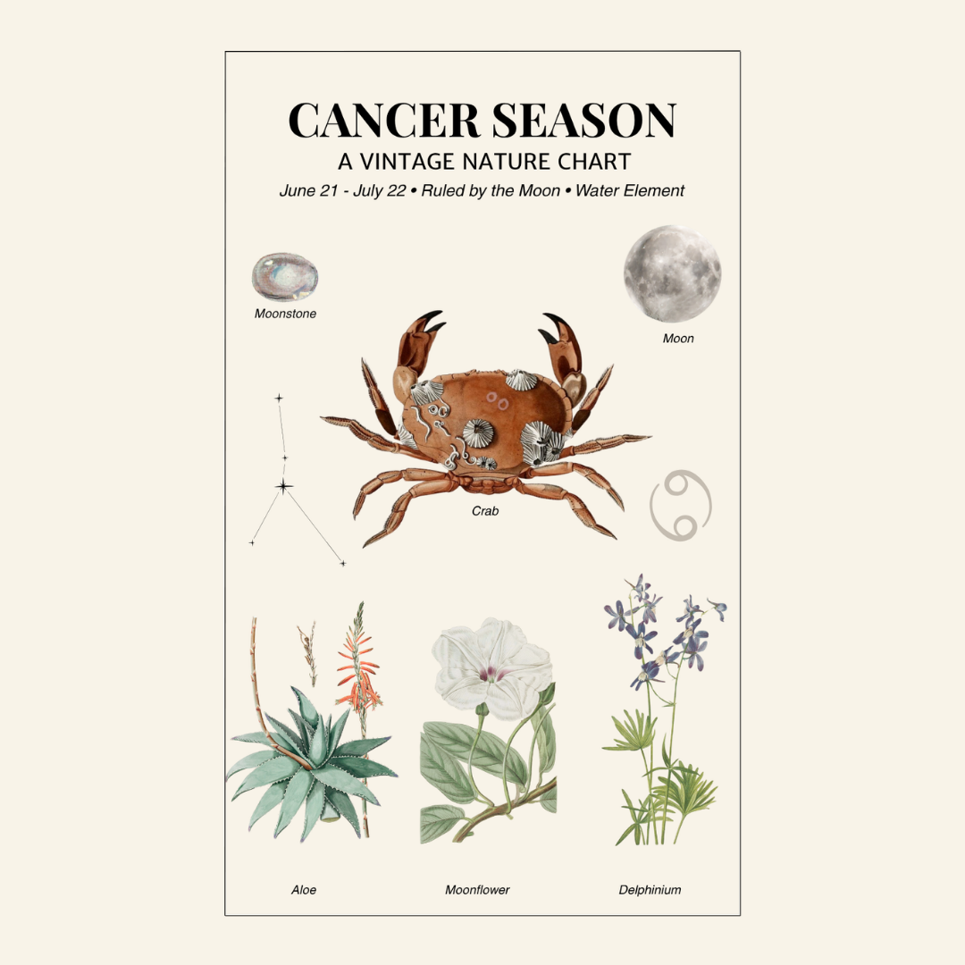 Vintage nature chart for Cancer season with a crab illustration and astrological elements.