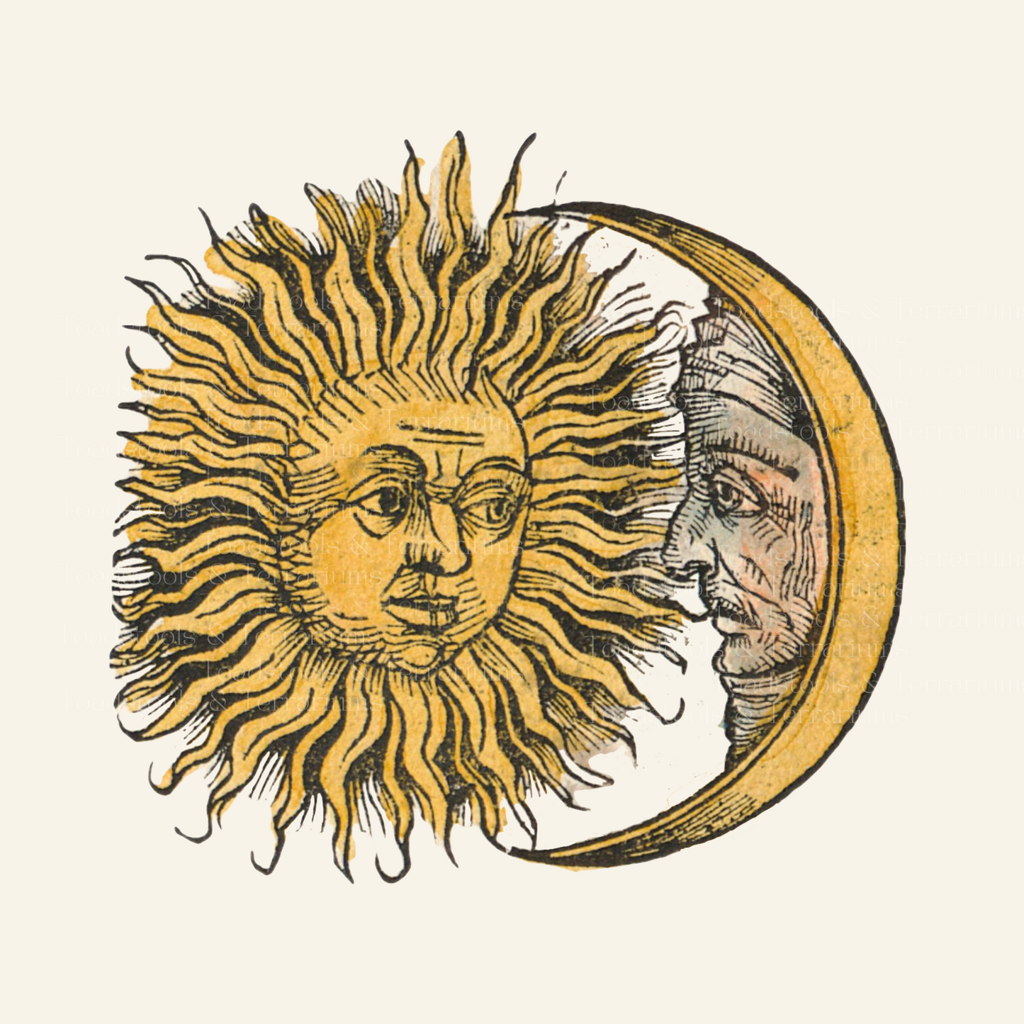 A medieval-style illustration of the sun and moon from the Nuremberg Chronicle manuscript, depicted in a gothic style with detailed facial features.
