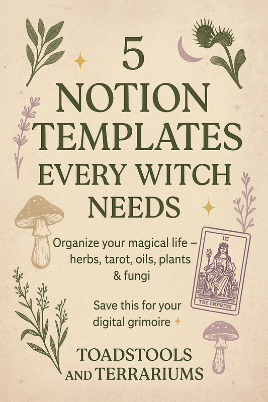 ✨ Blog Post: 5 Notion Templates Every Witch Needs ✨