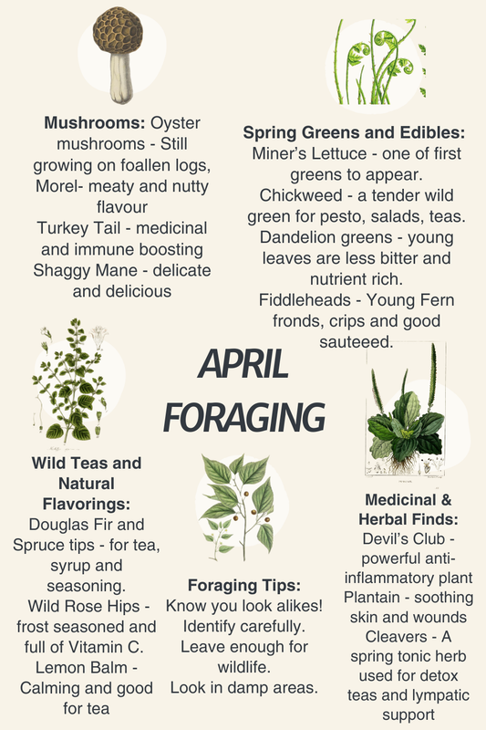 April foraging infographic