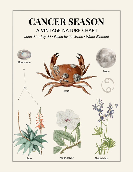 🌙 Celebrate Cancer Season with a Vintage Nature Chart