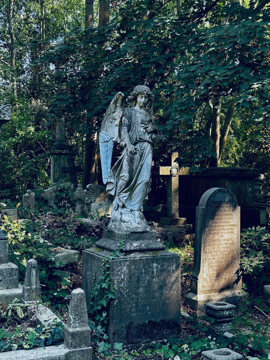 A Fox, a Cemetery, and an Afternoon in London