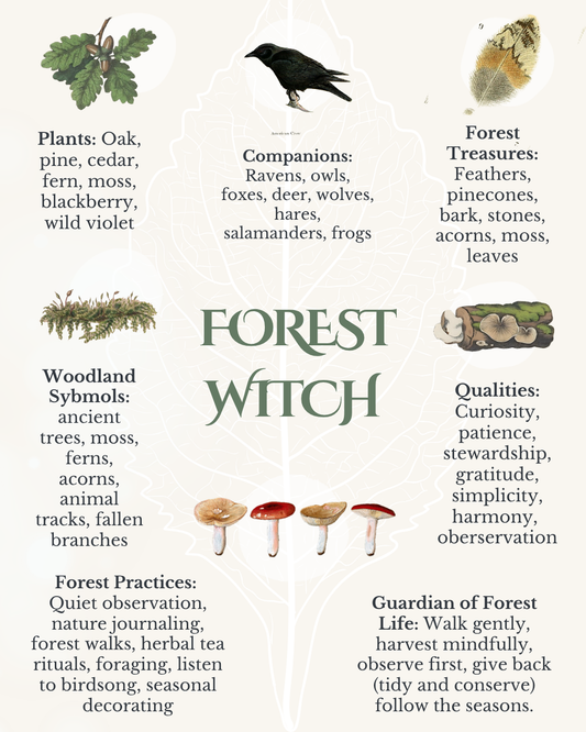Forest Witch: Finding Magic in the Woodland World 🌲✨