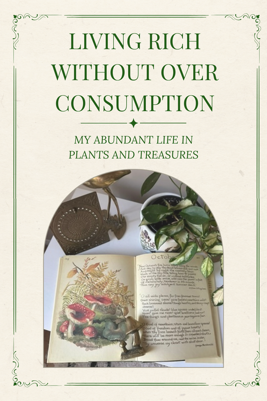 Living Rich Without Overconsumption: My Abundant Life in Plants and Treasures