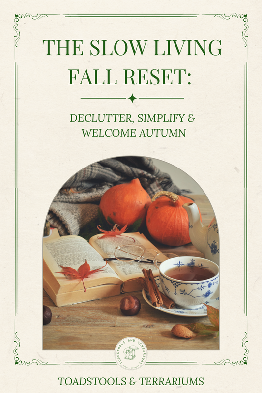 The Slow Living Fall Reset Blog Post with Cozy Autumnal Scene