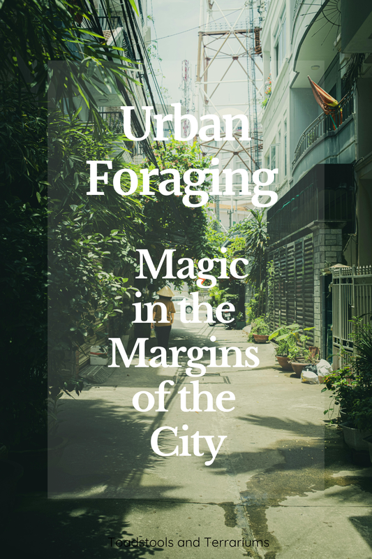 Urban foraging - magic in the margins of the city