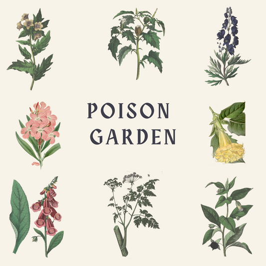 Gothic Poison garden plants from
Vintage botanical illustrations