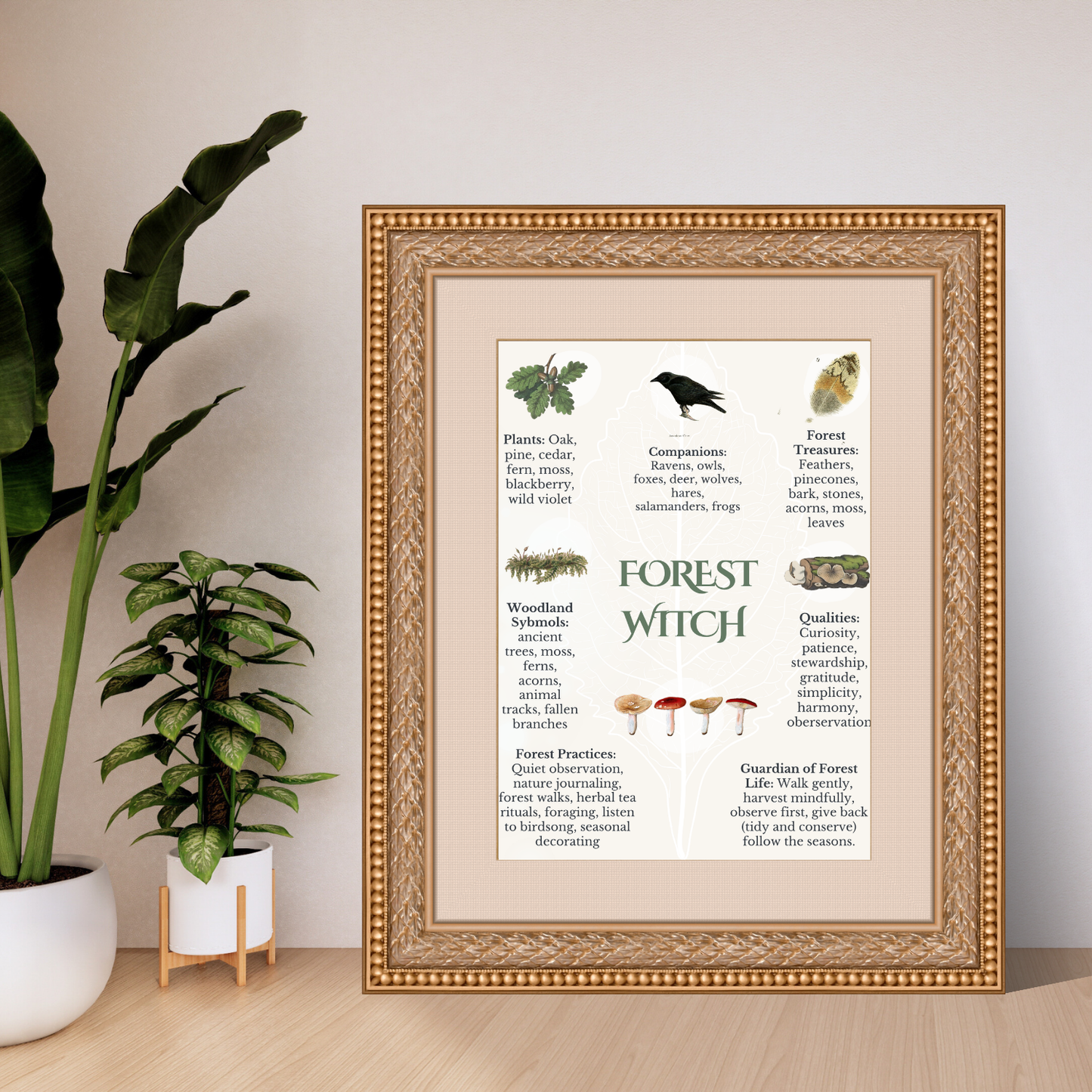 Forest Witch Guide: Woodland Folklore, Plants & Nature Inspiration