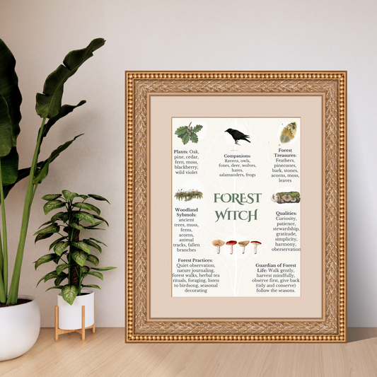 Forest Witch Guide: Woodland Folklore, Plants & Nature Inspiration