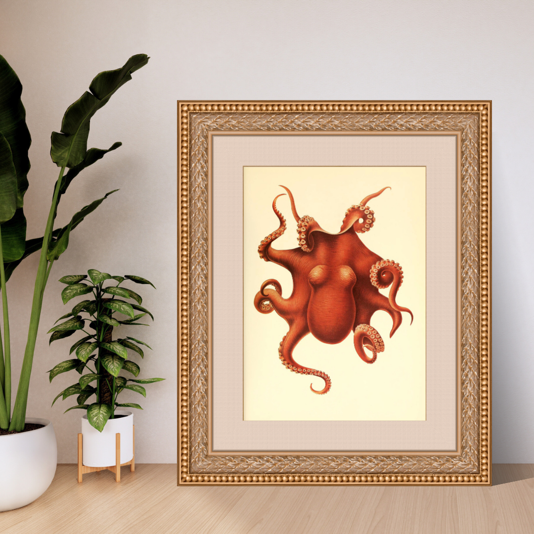 Framed artwork of an octopus on a beige wall with plants in the background