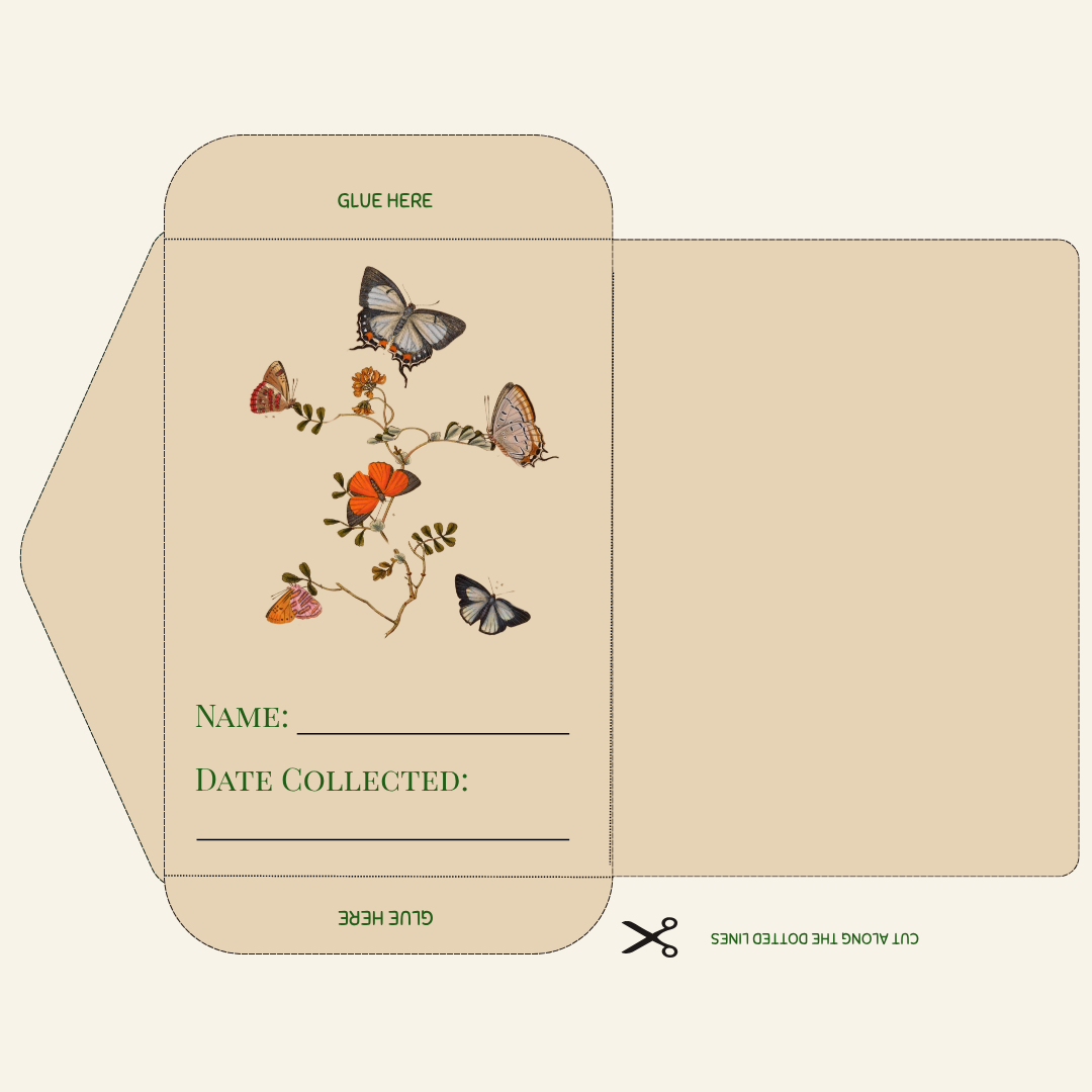 Vintage Seed Packet Template – Canva Editable + Printable PDF | Garden Ephemera | Digital Download