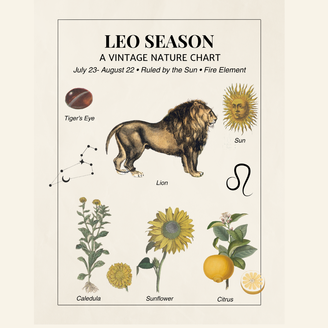 Leo Season Printable Chart – Zodiac Nature Wall Art (♌)