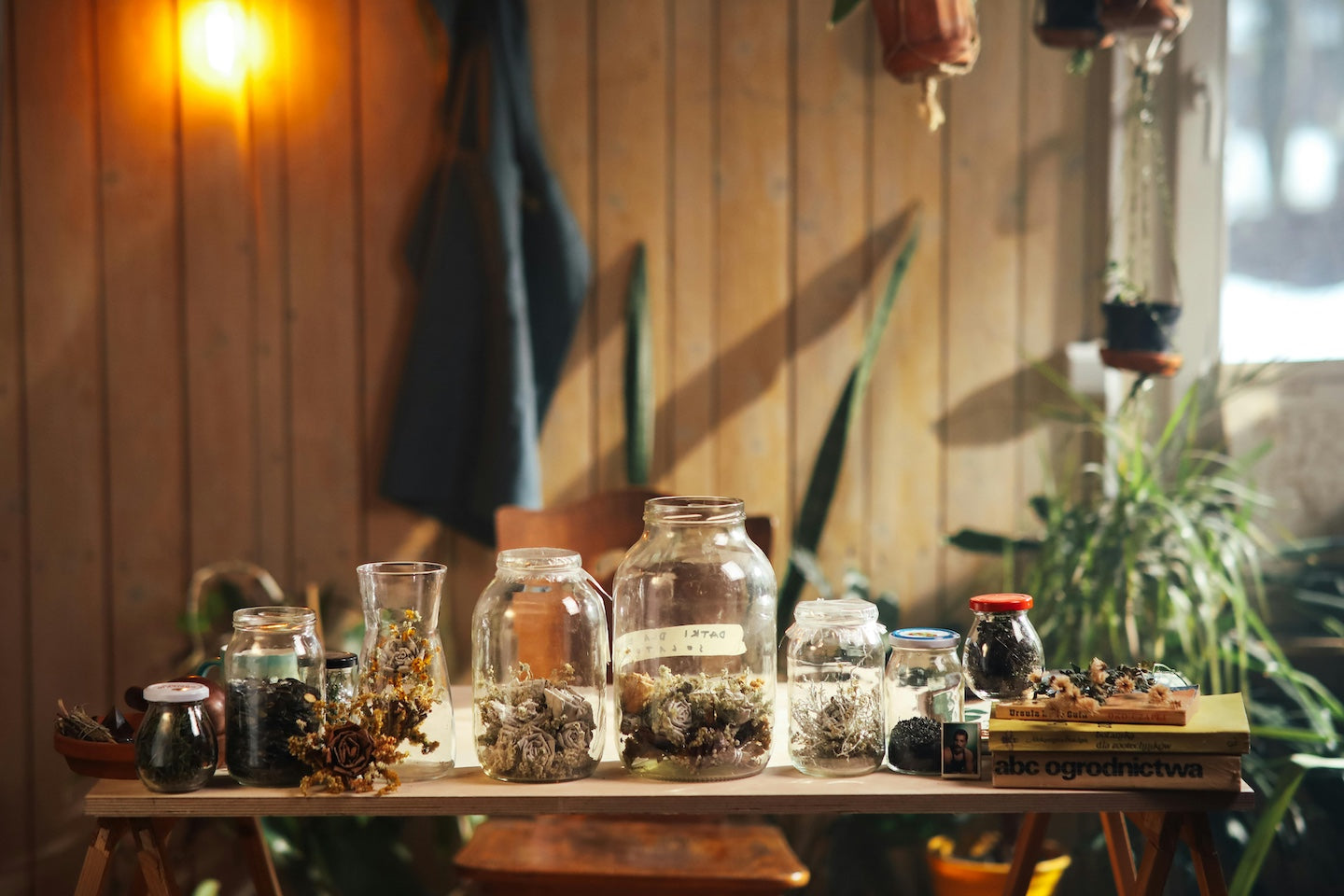 Table with various glass jars containing plants and decorative items against a wooden wall.